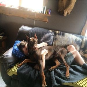 Meet your Posher, Jon